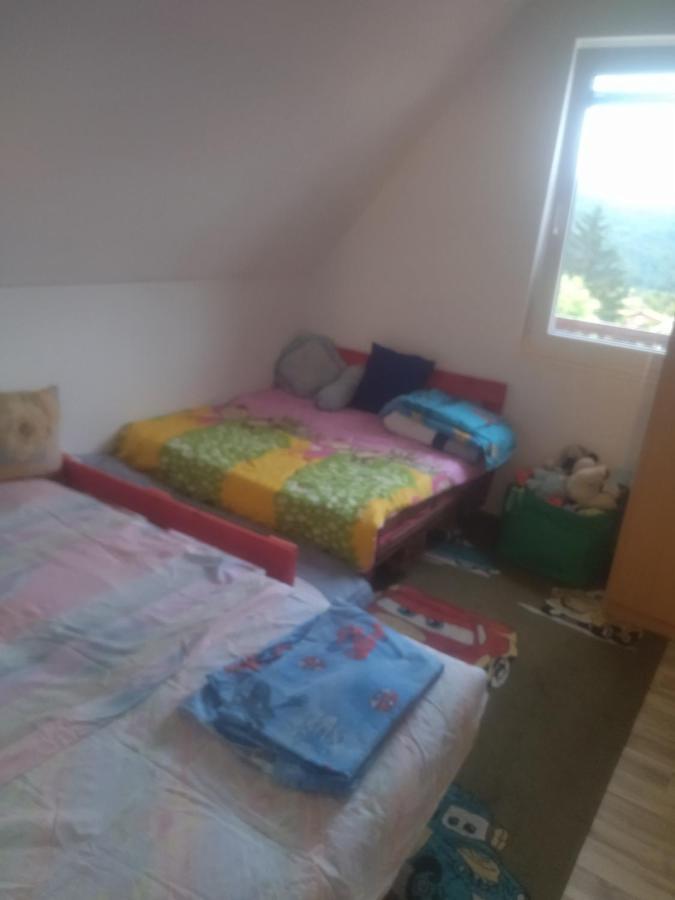 Bor, Savaca - Porodicna Vikendica Za Izdavanje Экстерьер фото