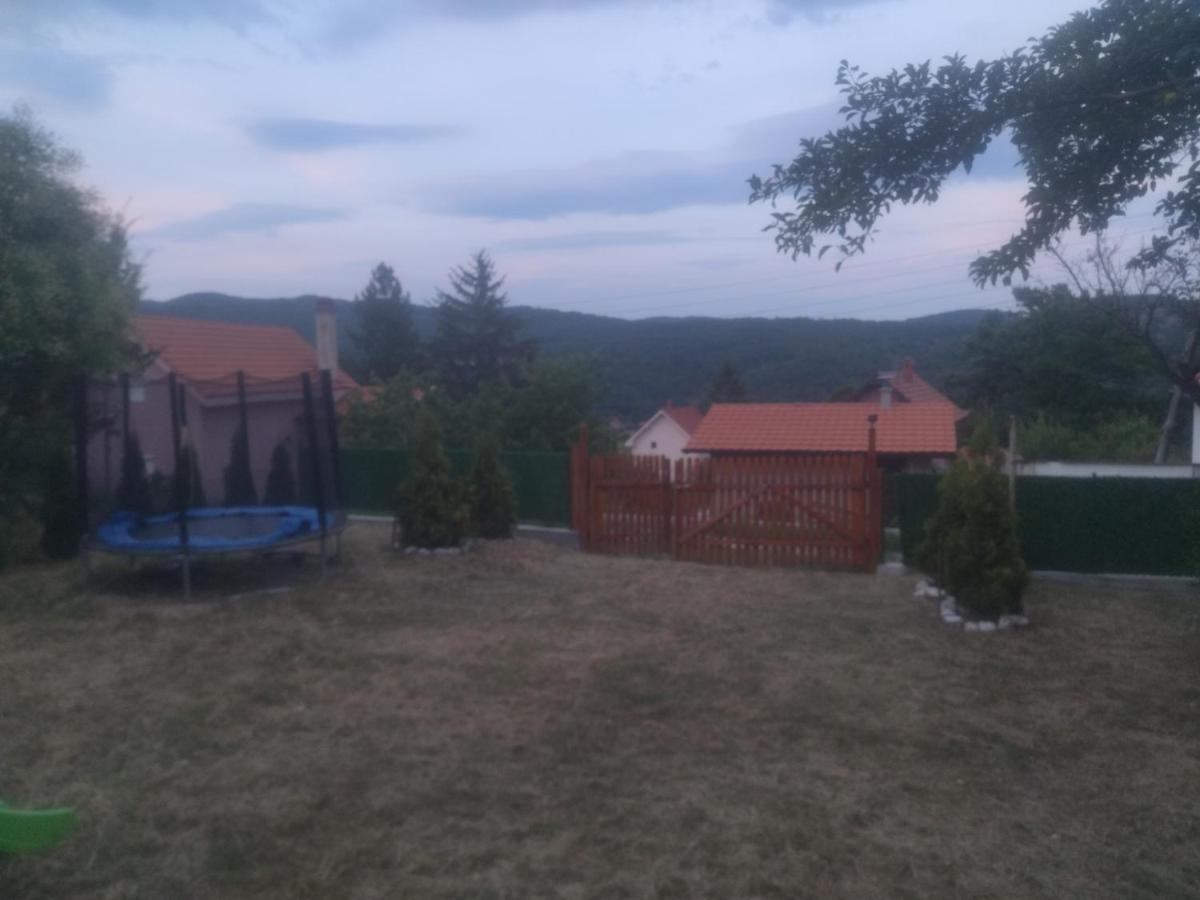 Bor, Savaca - Porodicna Vikendica Za Izdavanje Экстерьер фото